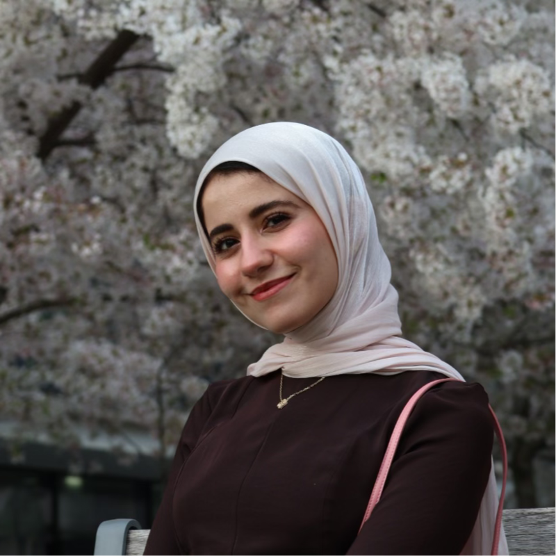 Tamadur Almahdi